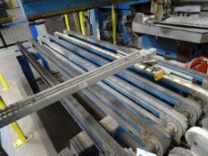 Transfer Conveyor 9' Long x 3' Wide