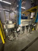 Triulzi Glass Processing Machines Washer