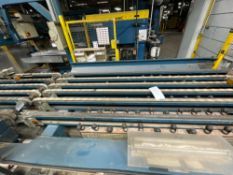 Transfer Conveyor 9’ Long x 3’ Wide
