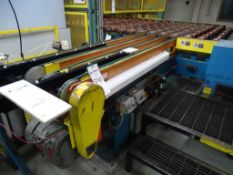 Roller Conveyor with Inspection Section