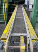 Inspection Conveyor