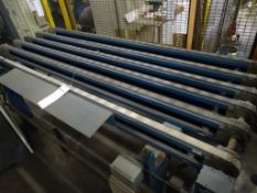 Transfer Conveyor 11' Long x 3' Wide