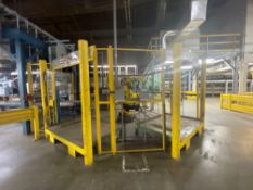 Robotic Arm Safety Cage