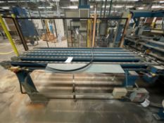 Transfer Conveyor 9' Long x 3' Wide