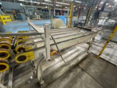 9’ long x 3’ wide transfer conveyor