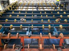 Roller Conveyor with Transfer Bridge and Inspection Conveyor Section