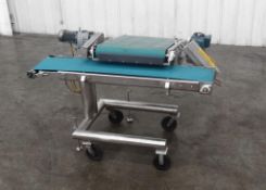Rheon 90 Degree Transfer Belt Conveyor System