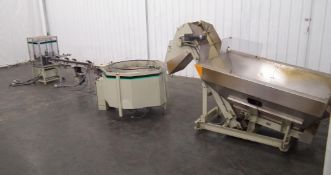 Hoppmann Unscrambler with Outfeed Conveyor
