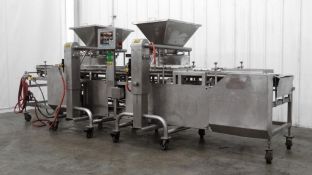 Hinds-Bock Dual Depositor 4P-04 Filling Line