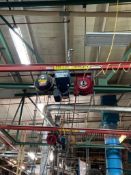 Starquip Demag Dual Hoist System 275 Lbs. Capacity