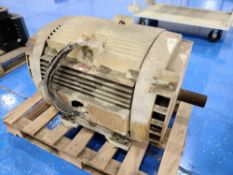 Jasper Electric Motor
