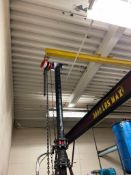 Ceiling Mounted Chain Hoist 200 Pound Lifting Capacity
