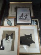 A selection of pictures, inc, Williamson, pastel sketch, cat, signed, 32 x 23cm, framed and