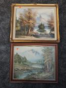 An oil painting, H Martin, mountainous landscape, signed 40 x 50cm, framed, and an oil painting,