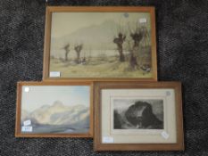 A print, after W Heaton Cooper, Lakeland, 17 x 23cm, framed and glazed, a print, landscape, 25 x