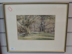 A watercolour, Ancient Oaks, woodland landscape, 17 x 25cm, framed and glazed