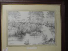 A watercolour, K Scally, parakeets, signed, 20 x 29cm, framed and glazed, and a print after