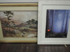 A print after GBB, trees, 42 x 31cm, framed and glazed, and a print, highland cattle, 39 x 54cm,