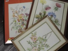 Three watercolours, Denise, still life, signed, inc 26 x 36cm, framed and glazed