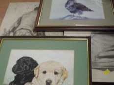 A selection of pictures, inc, a watercolour, Helen S, labrador puppies, signed and dated (19)74,