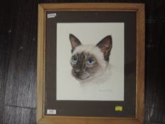 A watercolour. Monica Hartley, Siamese cat, signed, 30 x 27cm, framed and glazed