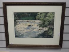 A watercolour, James Ingham Riley, Aysgarth falls, signed, 30 x 47cm, framed and glazed