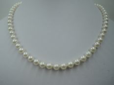 A string of cultured pearls of even ivory colour with a 9ct gold circular clasp, approx 18'