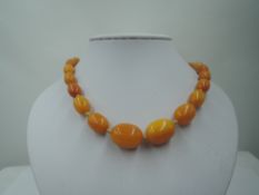 A short string of graduated butterscotch amber of oval form, approx 18' & approx 33.9g