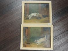 A near pair of oil paintings, terriers ratting, indistinctly signed, 19 x 24cm, plus frame