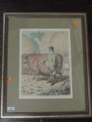 A re-print, fat cattle Tavistock Farm, 37 x 26cm, plus frame and glazed