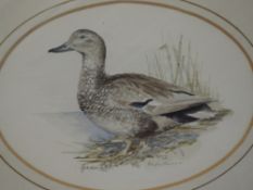 A pair of watercolours, Daphnne, bird studies, signed, 12 x 17cm, plus frame and glazed, and a