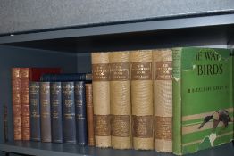 Ornithology. Kirkman, F. B. - The British Bird Book. 1911-13, four volumes; Witherby &c. - The