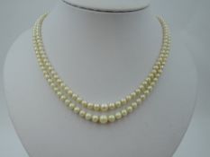 A double string of graduated cultured pearls having a pearl and amethyst set 9ct rose gold box