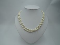 A long string of baroque pearls having a silver box clasp, approx 46'