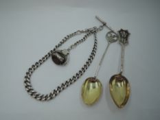 A silver graduated curb link watch chain with swivel fob with carnelian and bloodstone decoration,