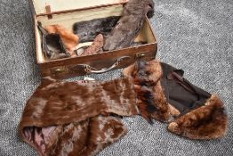 A leather suitcase containing a selection of furs including stoles and collars.