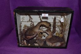 A cased taxidermy display of running ducks or similar.