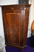 A 19th Century mahogany corner cabinet, having green painted shelves to the interior, with
