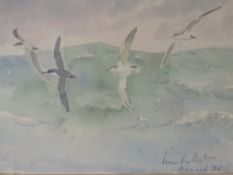 Two watercolours, Peter Partington, seagulls souring, signed and dated (19)05, 19 x 28cm, plus frame