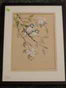 A watercolour, Crank, Blue Tits, signed , 34 x 24cn, plus frame and glazed