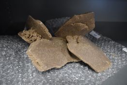 An unusual geological rock or petrology mineral sample in good condition