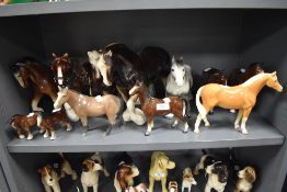 Twelve figure studies of shire and similar horse most unmarked and unnamed