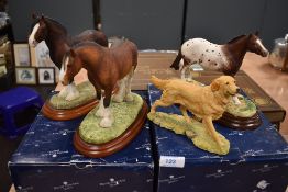 Four figure studies by Border Fine Arts including boxed County Show and Appaloosa also Shire