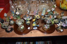 A section of bird studies and wooden display plinth.