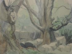 A watercolour, E Michael Bottomley, Old Elms at Yealand, signed and dated 1971, 25 x 38cm, plus