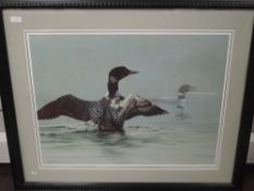 A Ltd Ed print, after Guy Coheleach, Jewels of the Lake, signed, and num 599/950, 50 x 90cm, plus
