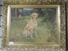 Two oil paintings, Susan M Triggs, labrador dogs, signed and dated 1979 and 1986, each 29 x 39cm,