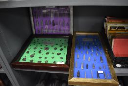 Three glazed display cases with various fossil and archaeological specimens including Belemnites and