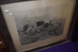 A large Victorian print depicting highland cattle in oak frame.