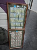 Two framed cigarette cards of cricket and sports interest